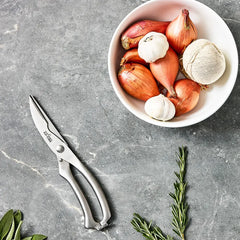 Stainless Steel, Poultry Shears, 10 inch