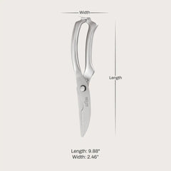 Stainless Steel, Poultry Shears, 10 inch