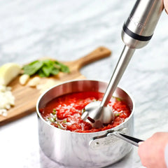 Stainless Steel Immersion Hand Blender, 600 Watts